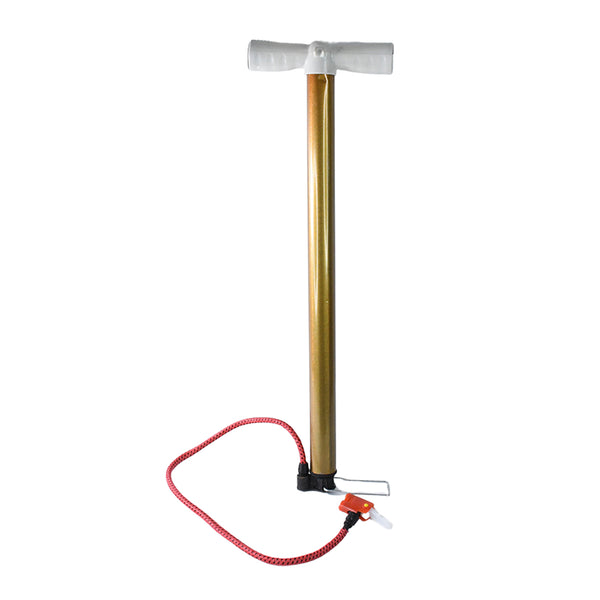 Duck Climb Stairs Toy